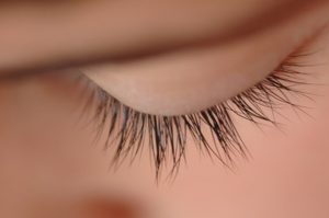 Eyelash Growth Cycle