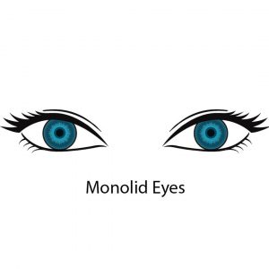 what lashstyle fits your monolid eye